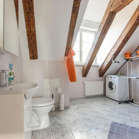 Apartment Mansard In Old Town