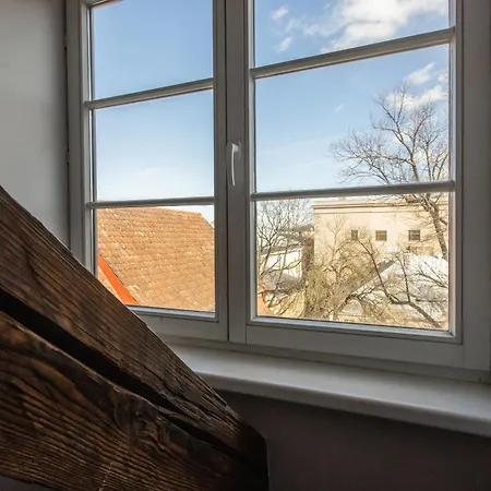 Apartment Mansard In Old Town