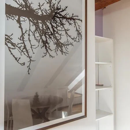 Apartment Mansard In Old Town *