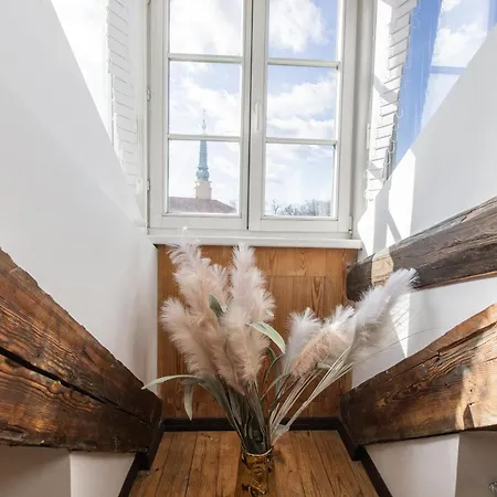 Mansard In Old Town Apartment Riga